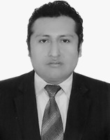 WILMER EDDY CHAMBI LLICA
