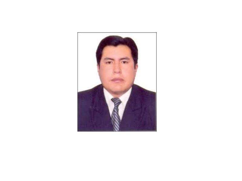 RONALD MAMANI TICONA