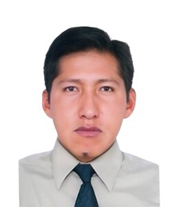 HENRY PIZARRO VIVEROS