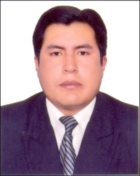 RONALD MAMANI TICONA