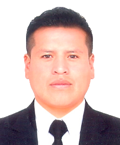 EDWARD NEIL VILCAPAZA PAZ